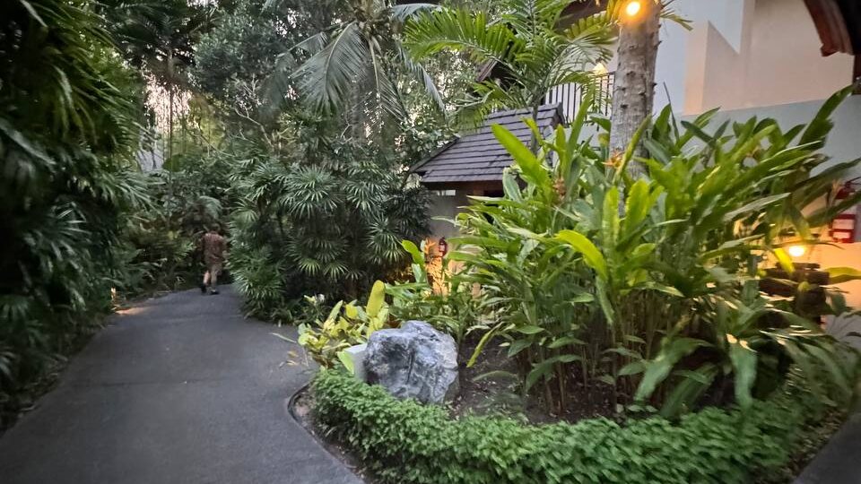 "Многие ездят в Паттайю из-за ночной жизни. Но я пенсионерка и люблю спокойный отдых". Sea Sand & Sun Resort: отель, где Паттайя кончается