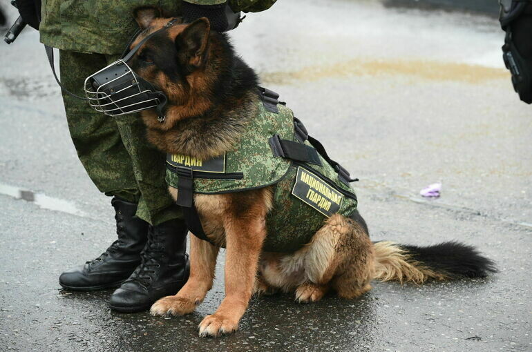   Игорь Самохвалов/«Парламентская газета»