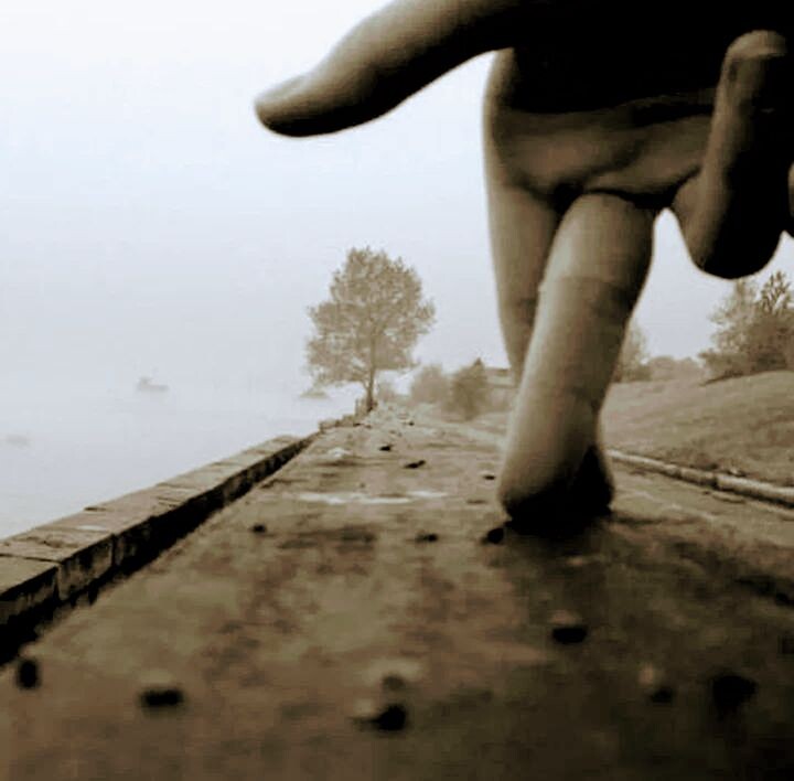 Фото с интернета .