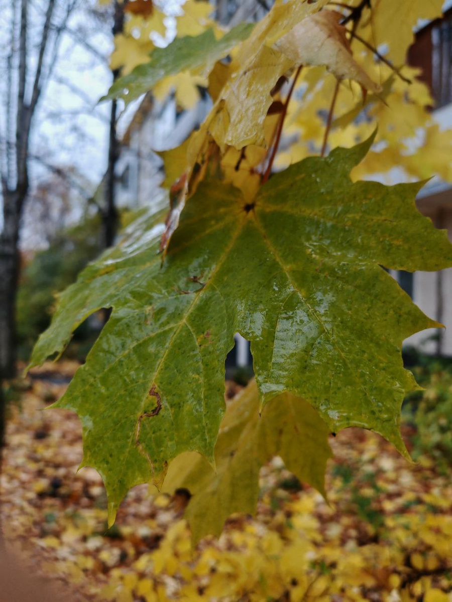 #Астропрогноз на 27 октября - 2 ноября 2025. Ключевые аспекты дня