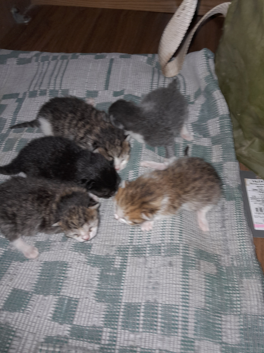 Около того или чуть больше.