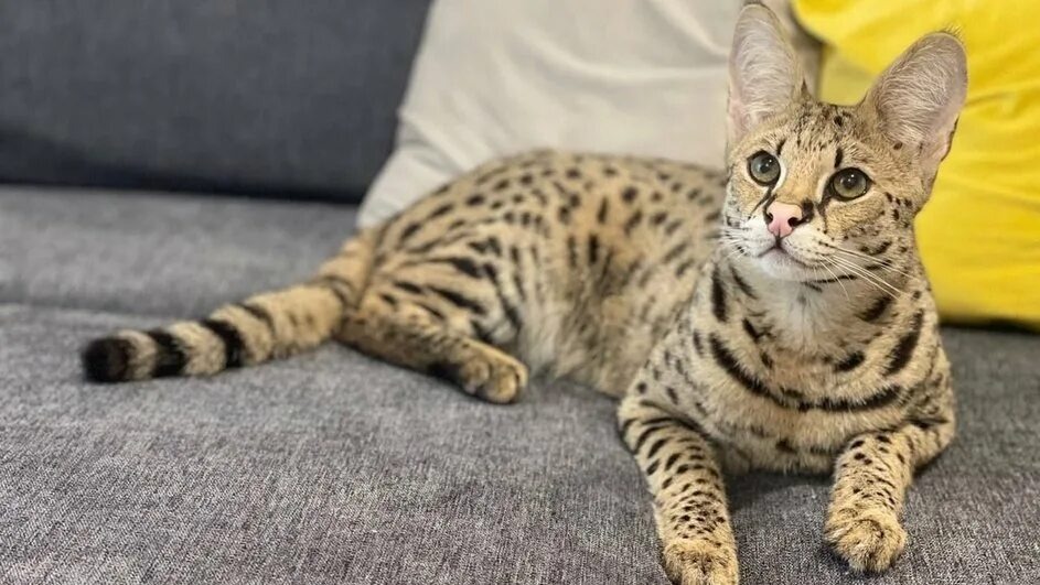 Фотография из интернета