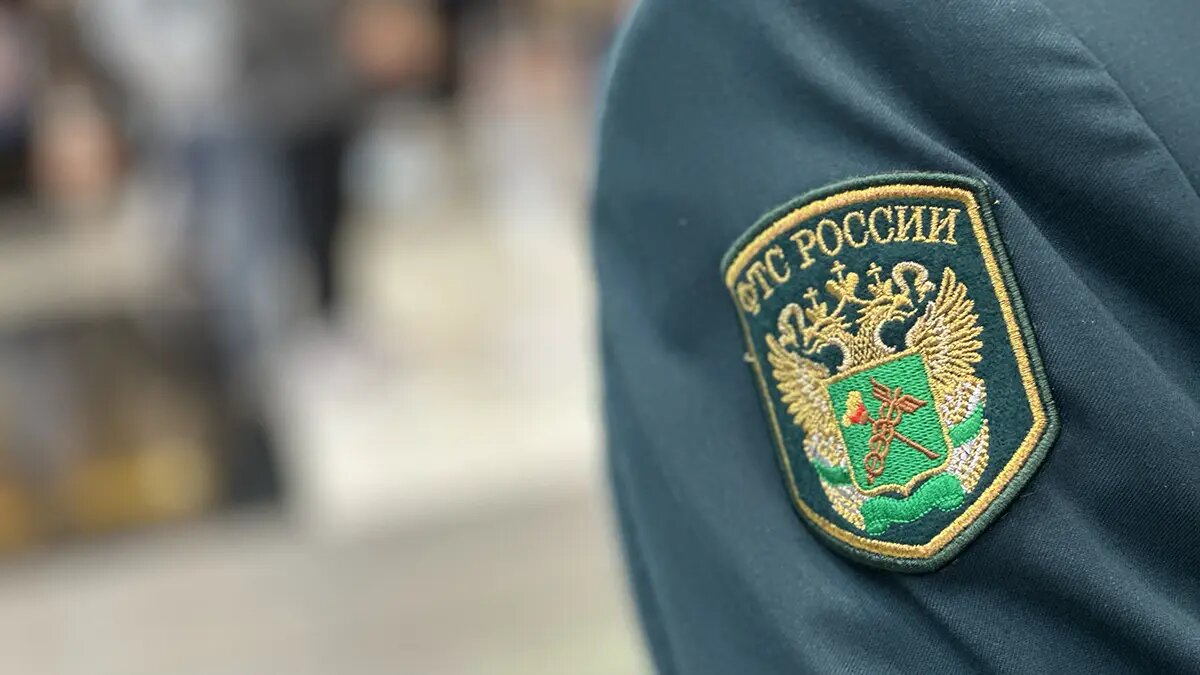    Фото: vm.ru Олеся Шмелева