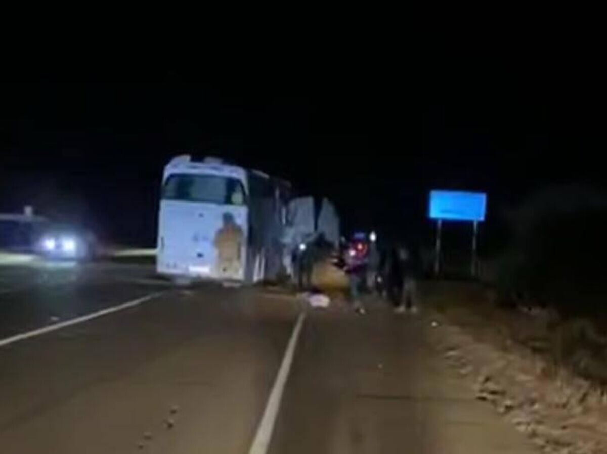    На месте ДТП с участием туристического автобуса в Приморье© Полиция Приморья/Telegram