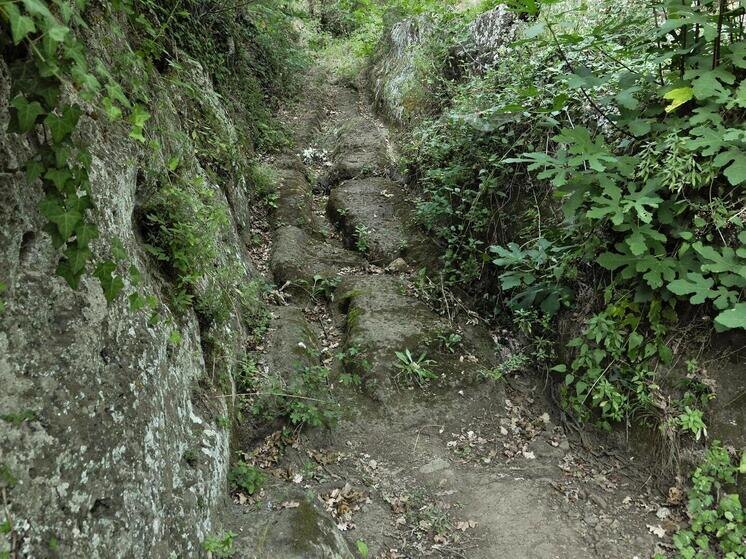     ФОТО: Raimund Kutter/imageBROKER.com/Global Look Press