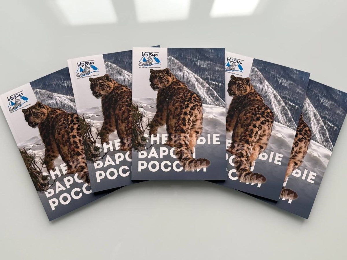 Обложка нового каталога с фотографией снежного барса из Сайлюгемского нацпарка, Республики Алтай (с) Софья Филатова.