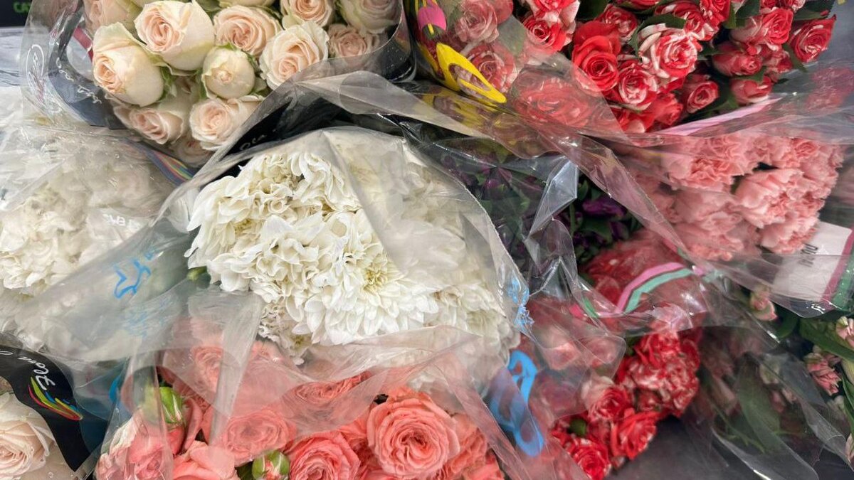    Фото: 178.fsvps.gov.ru