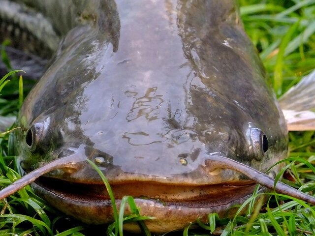    Фото: 123RF.com/naykirin