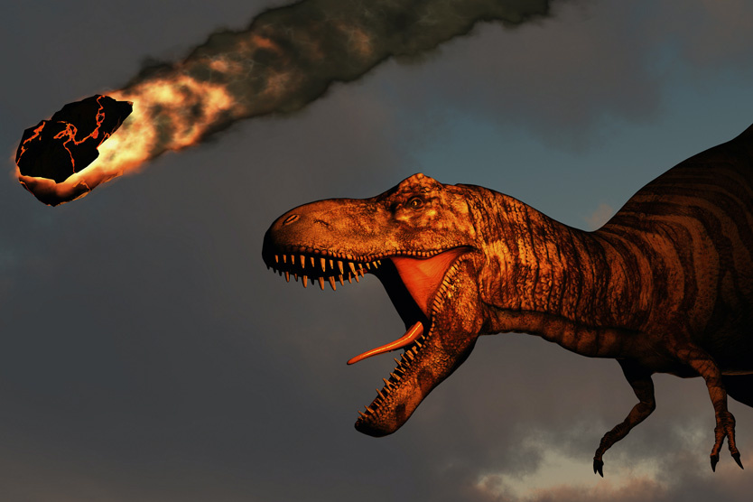     Фото: Mark Stevenson / Stocktrek Images / TASS