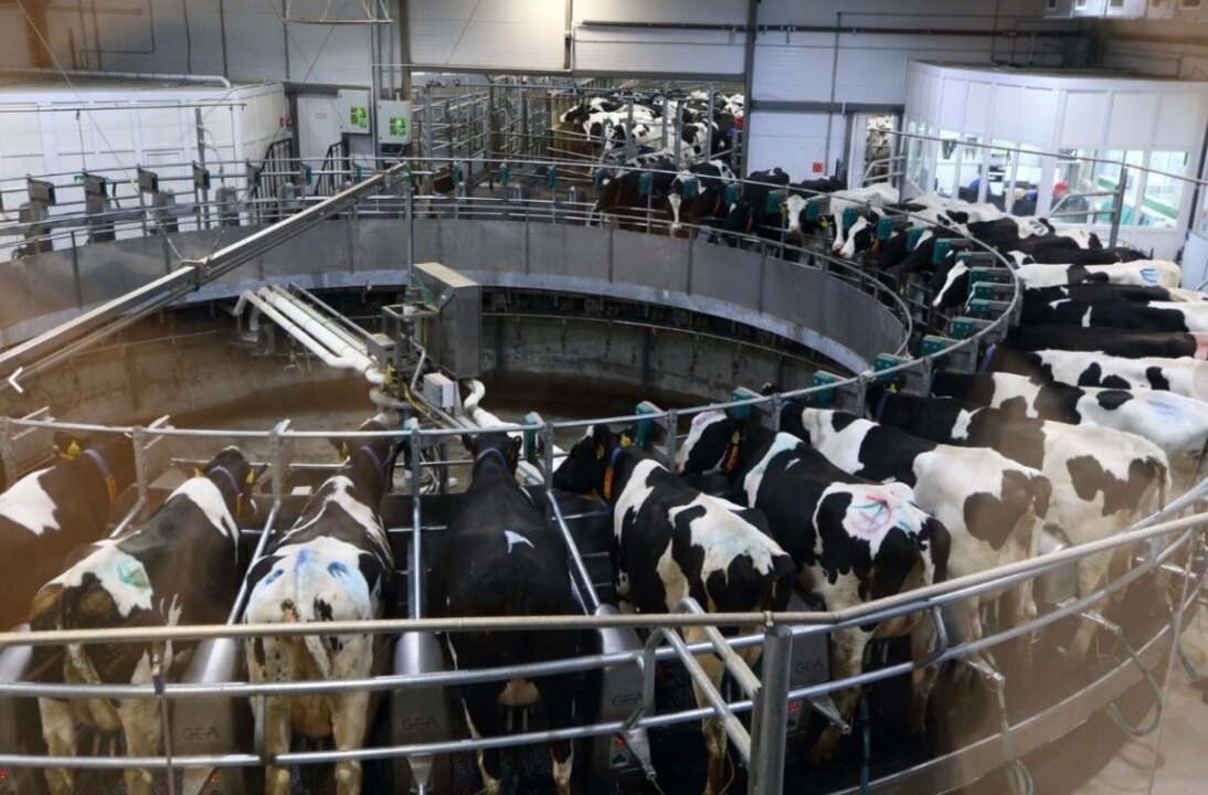    Фото пресс-службы правительства Томской области