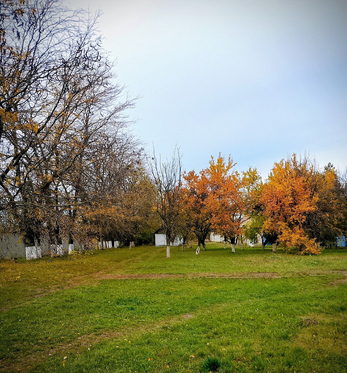Фото автора. Конец октября)