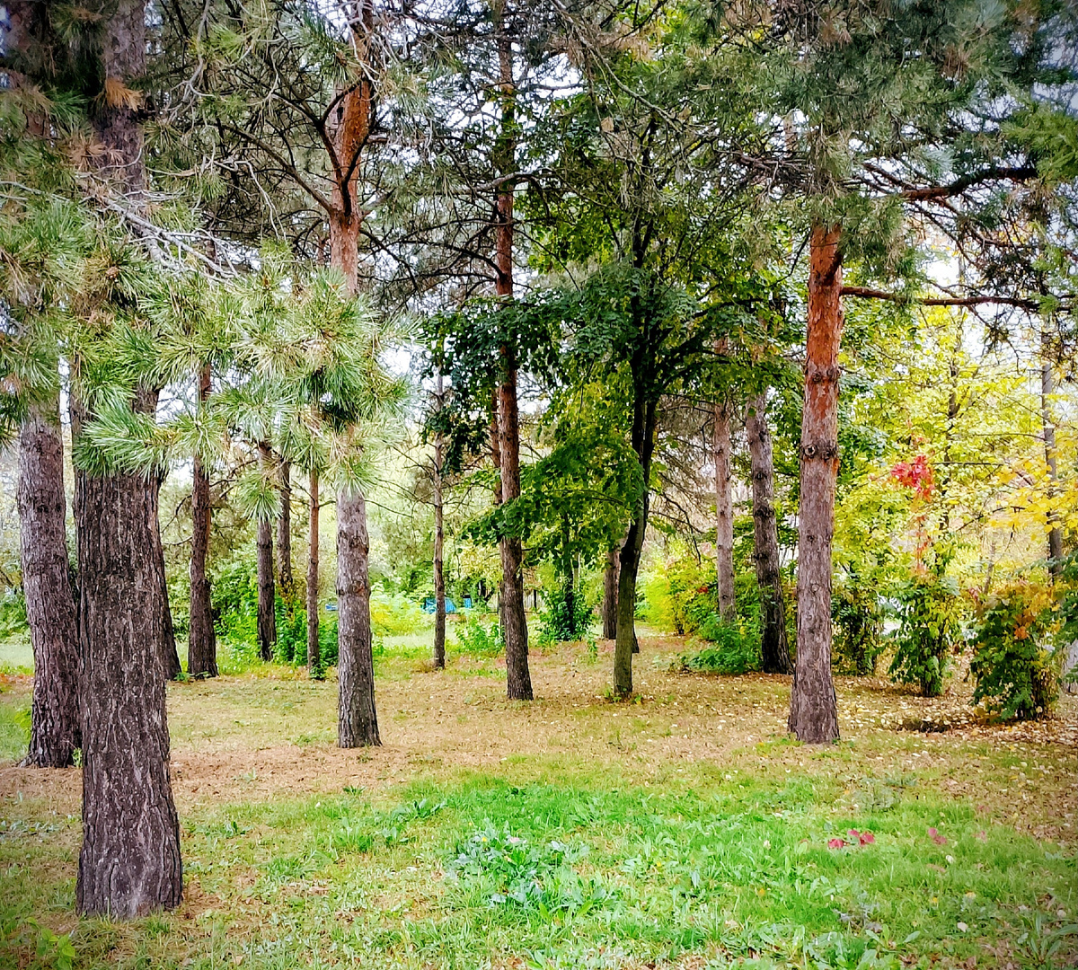 Фото автора Осенний день)