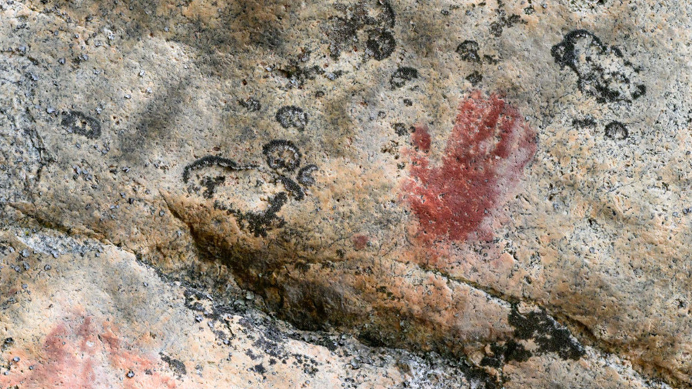     Фото: University of Eastern Finland