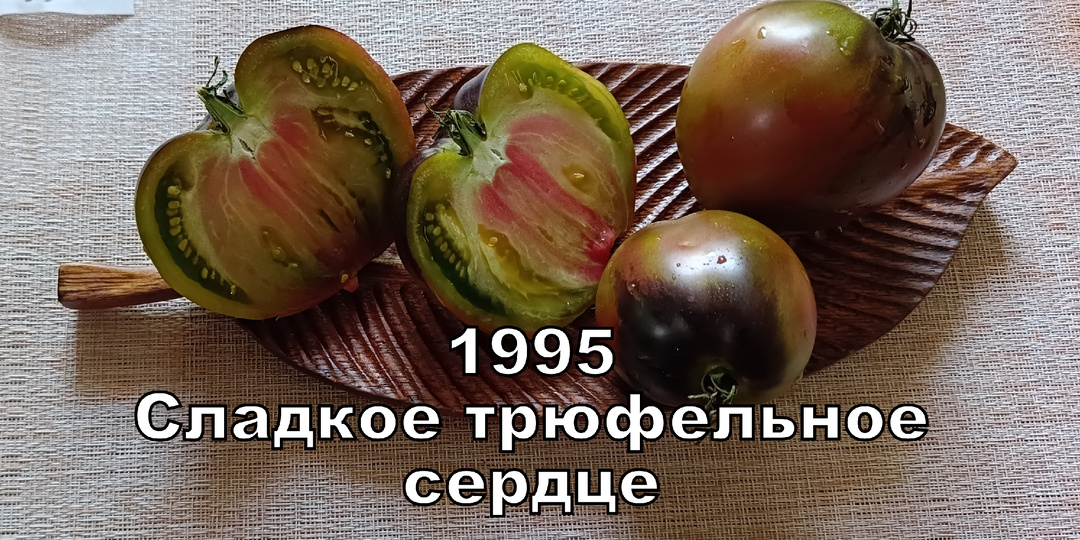 Каталог томатов 2025 с описаниями .Часть 14 часть