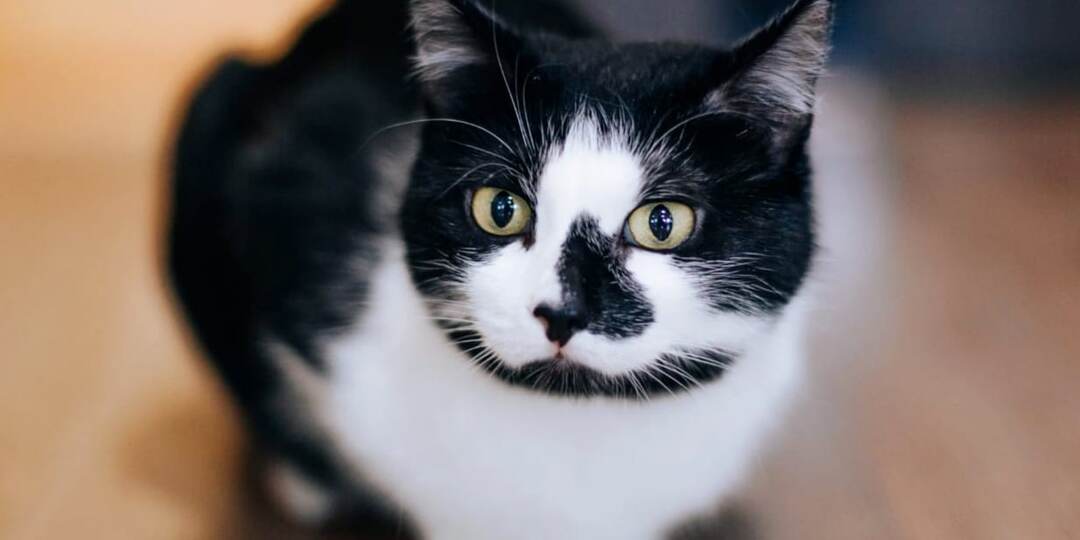 Сонечку подбросили на парковку офисного здания