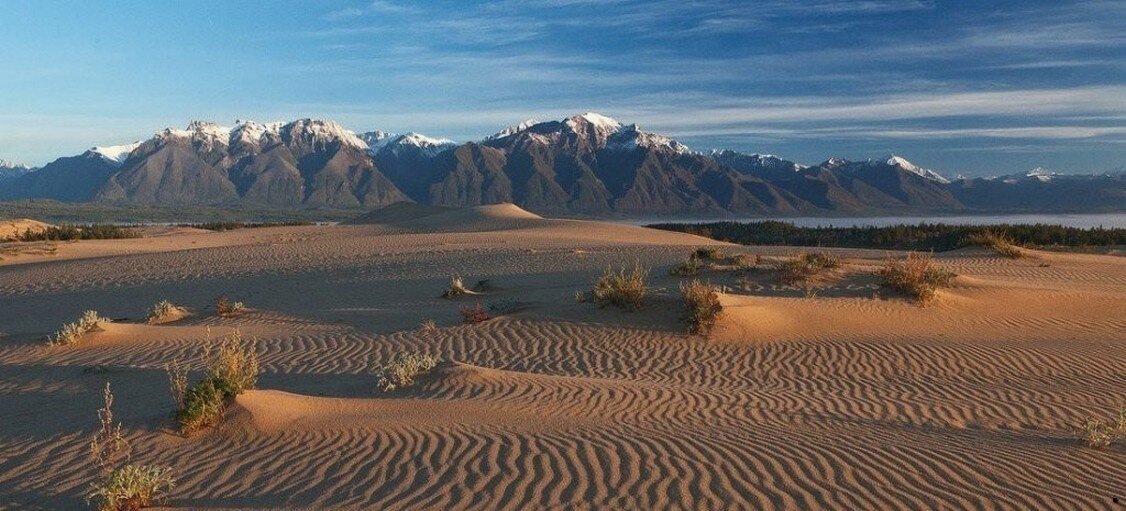 Сибирская Сахара: Пустыня, где песок соседствует с вечной мерзлотой.