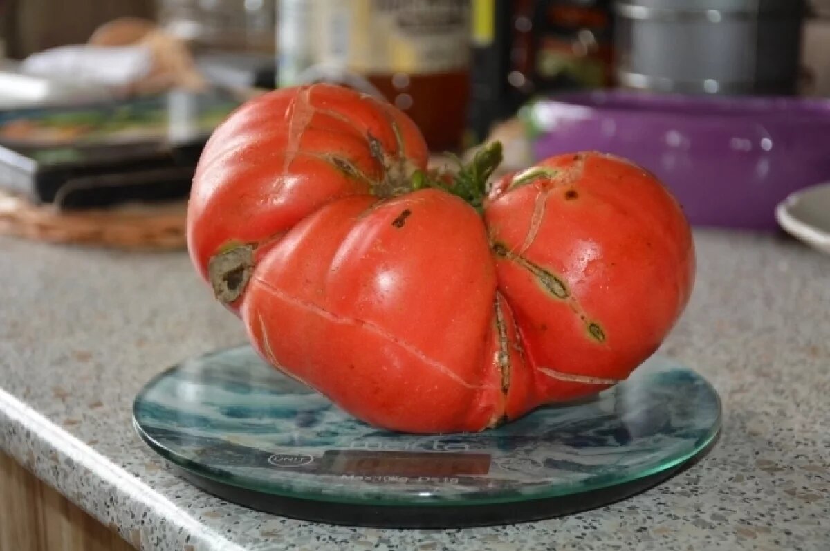    Более 800 кг опасных овощей изъято с прилавков Самары