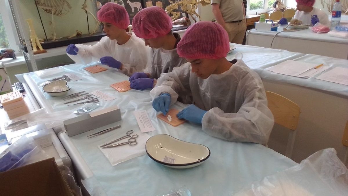    Такие уроки по-настоящему увлекают школьников