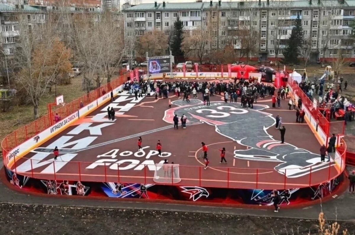    В Омске появится более 150 новых хоккейных коробок