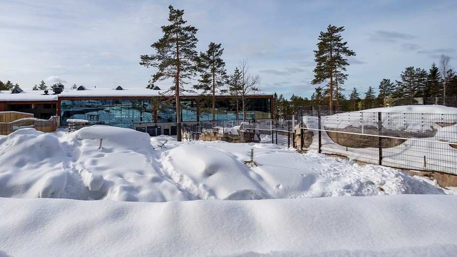 Автор фото: Ninara/commons.wikimedia.org. Территория зоопарка Эхтяри (Финляндия).