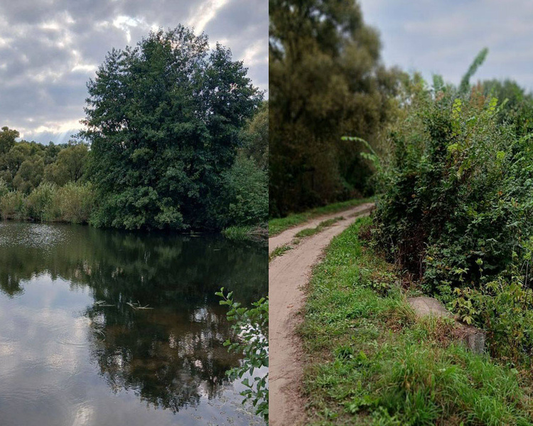     В Курской области суд обязал поставить на учет бесхозяйное гидротехническое сооружение