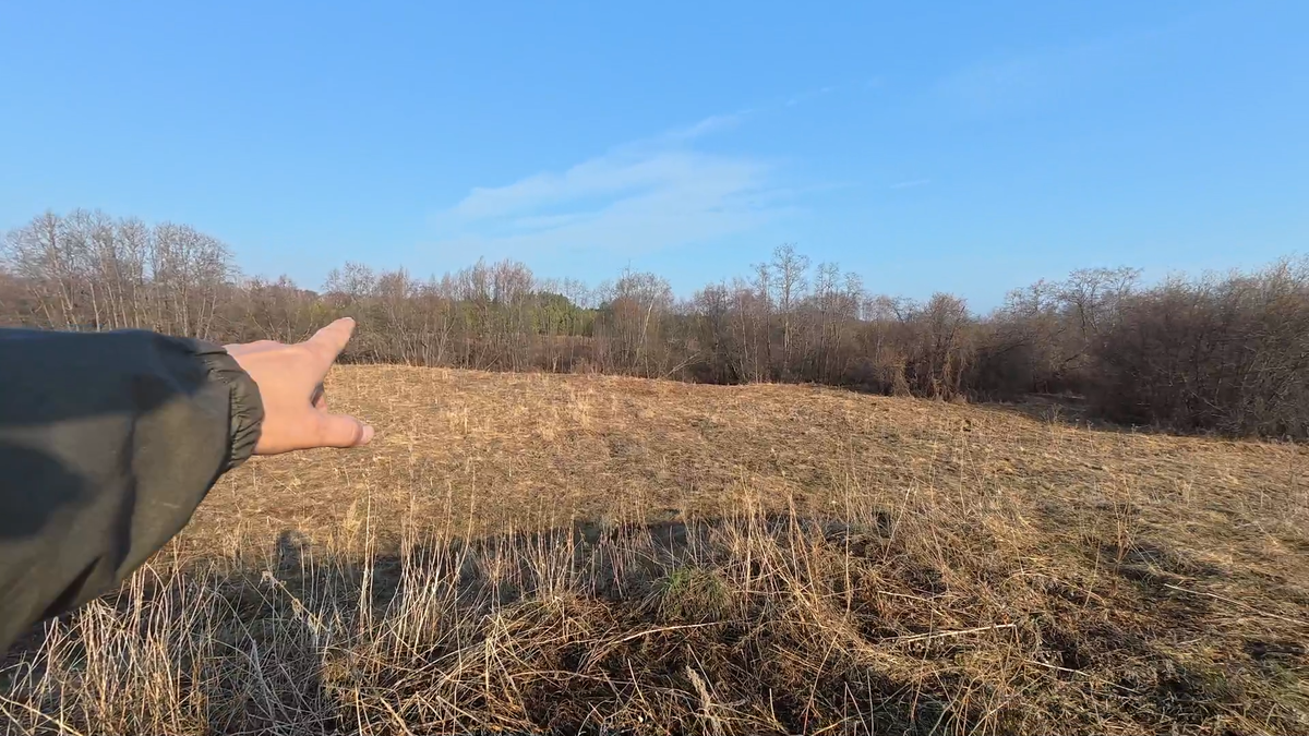 Туда нам надо.