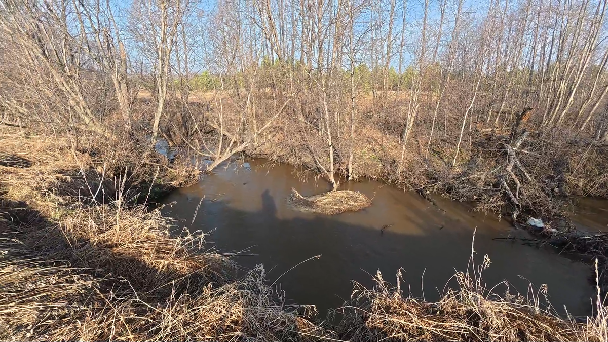 Вот и сама река.