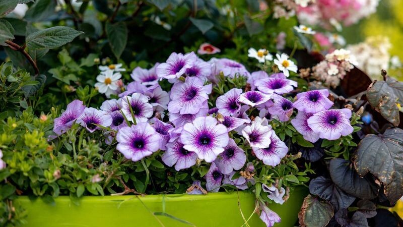    Фото: Юрий Здебский/«Ямал-Медиа»