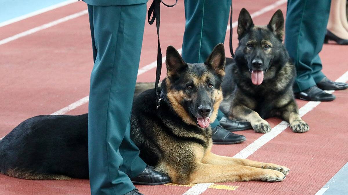    Фото: Василий Кузьмиченок / АГН Москва