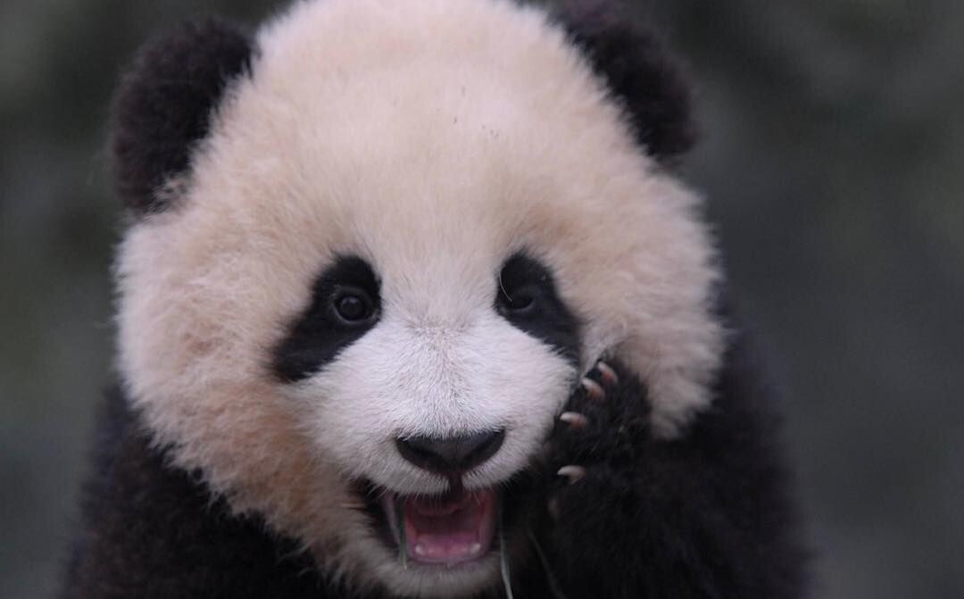 Картинка взята из общего доступа