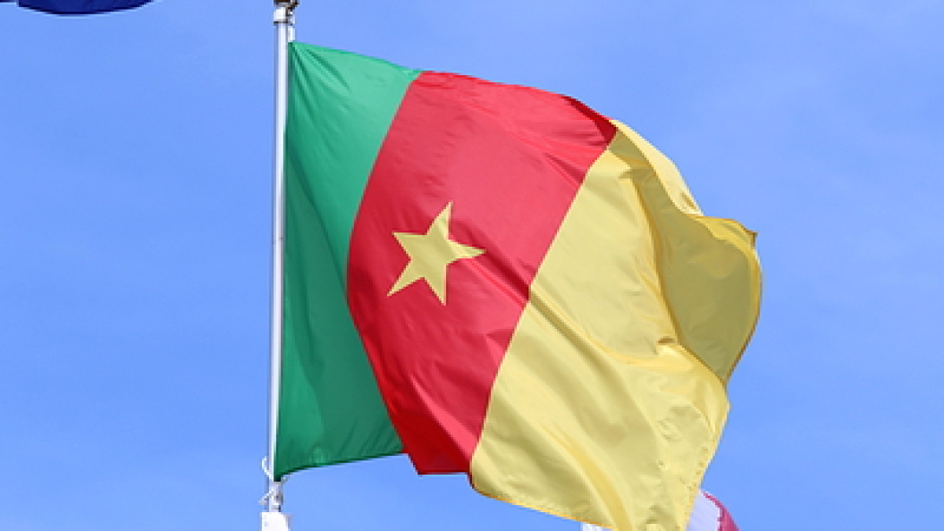    Фото: Maksim Konstantinov/Globallookpress