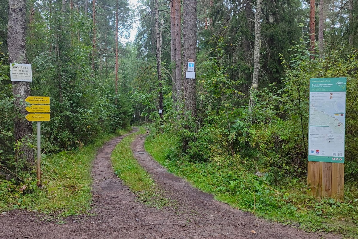 Шхеры, скалы и сосны: Самый живописный маршрут под Питером.