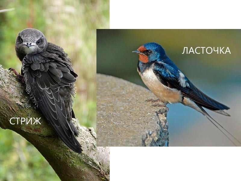 Фотография из интернета