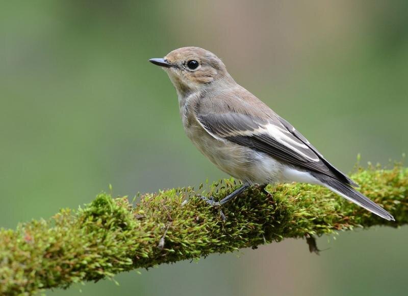 Фотография из интернета