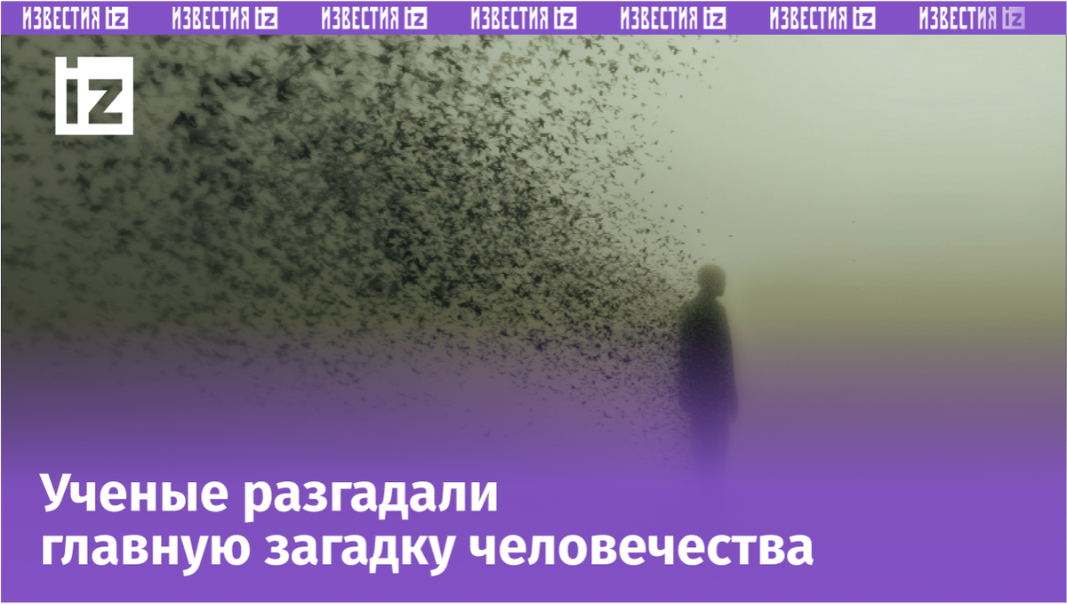 Фото с сайта Пятого канала