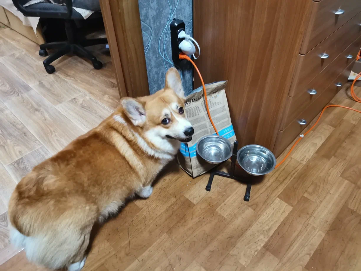 Главный ингредиент любого блюда — тот, кто рядом