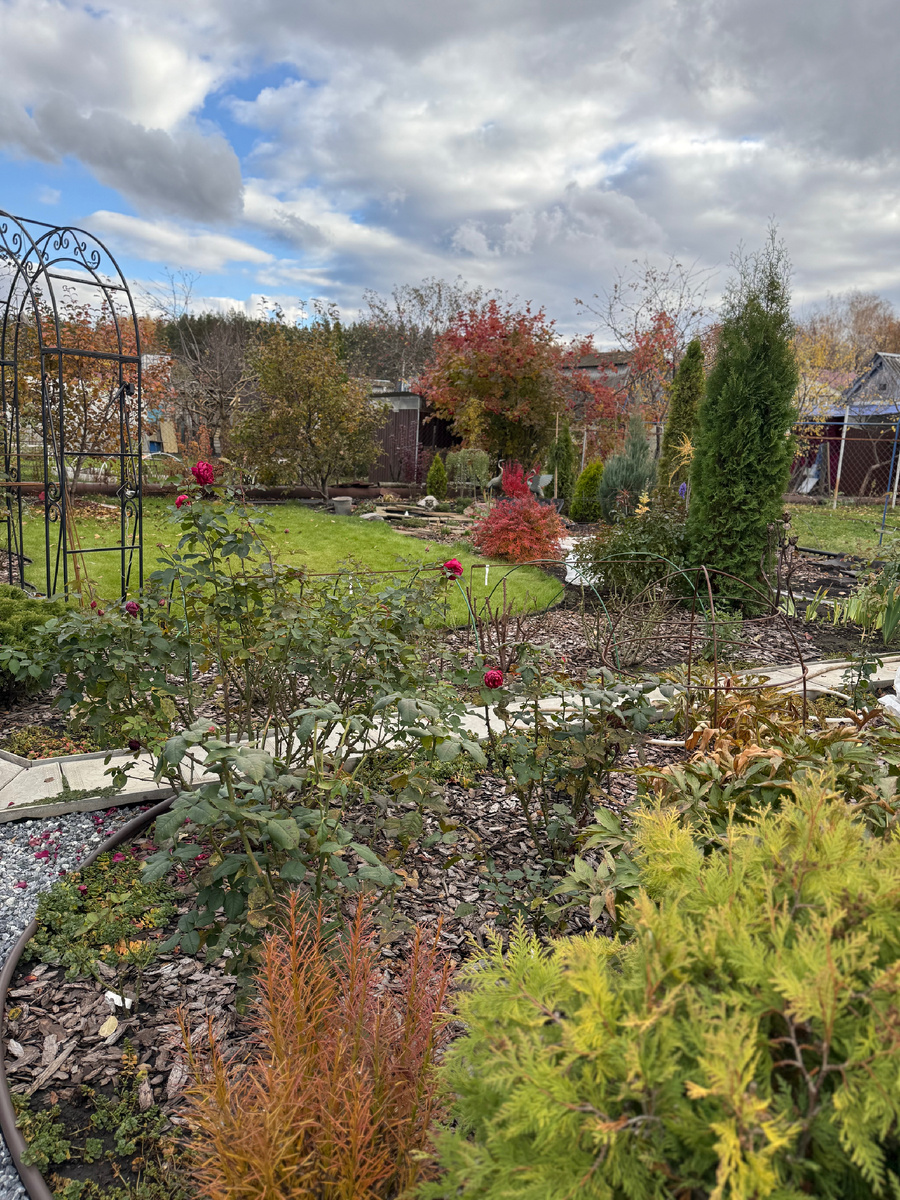 Октябрь в саду