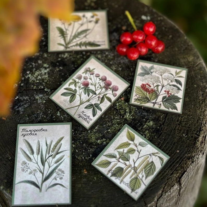 Листайте вправо, чтобы увидеть больше изображений