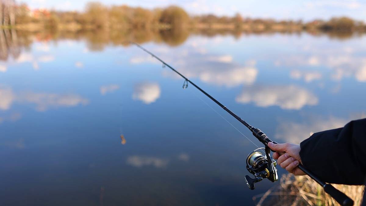    Фото: Shutterstock