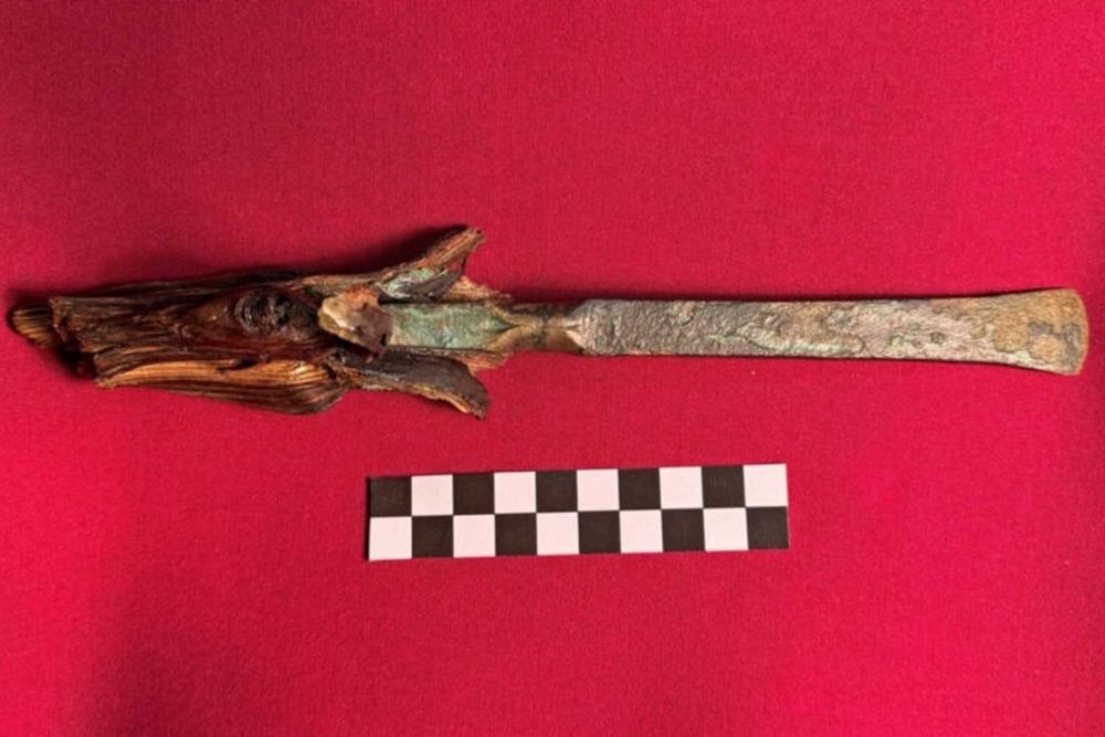    Felice Larocca, Fondazione MldA