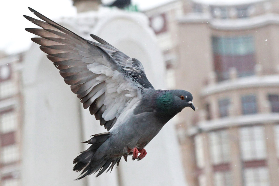    Сергей Булкин/NEWS.ru