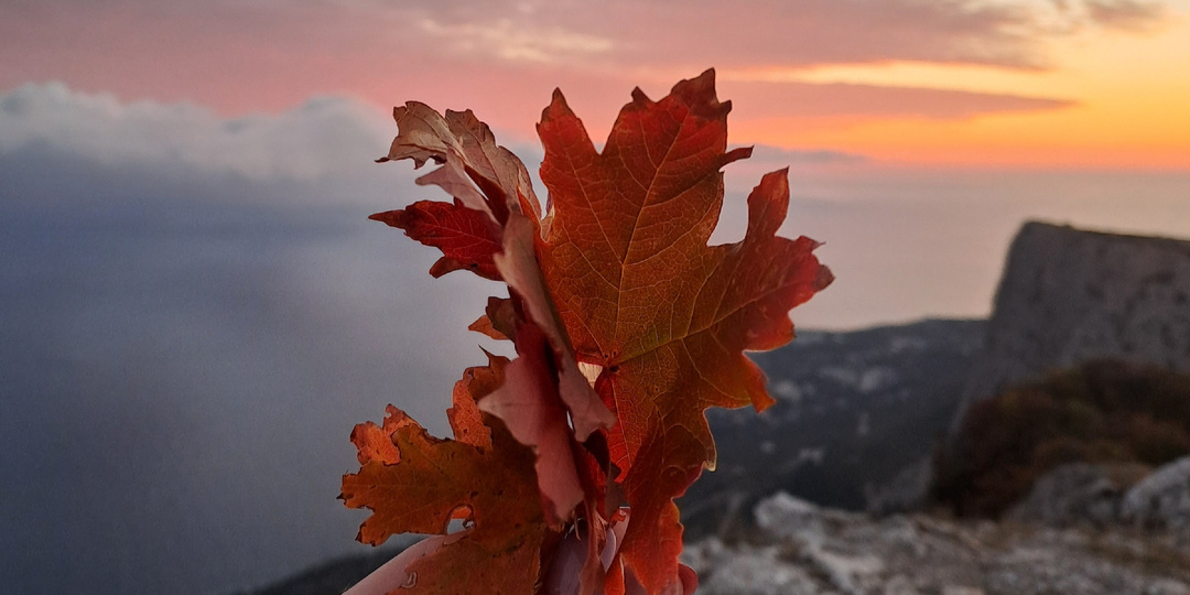 От Чертовой лестницы к горе Форосский кант: живописный осенний маршрут к головокружительным обрывам