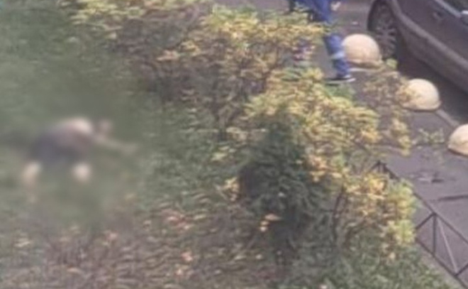    © Mash на Мойке