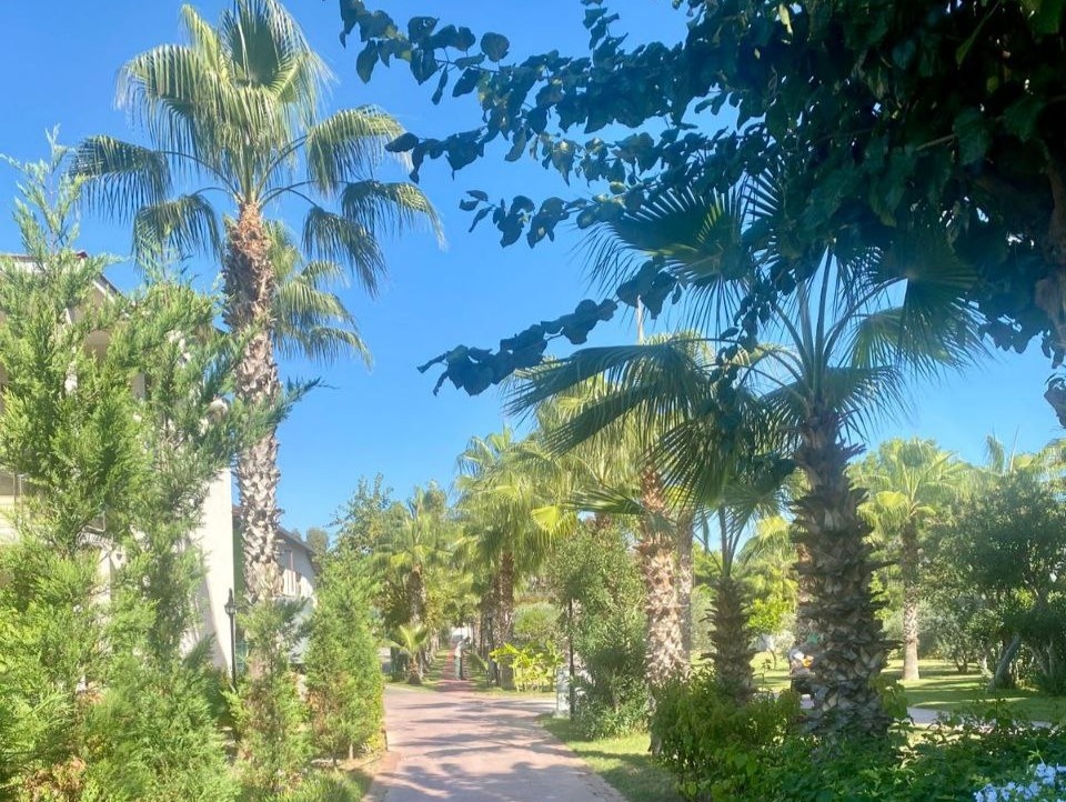 отель Club Hotel Turan Prince World 5*