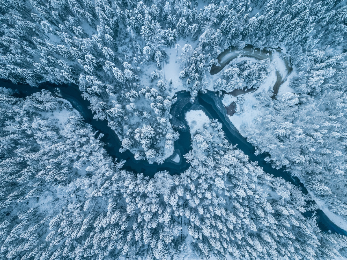 Зимние северные леса выглядят просто волшебно! Фото автора.