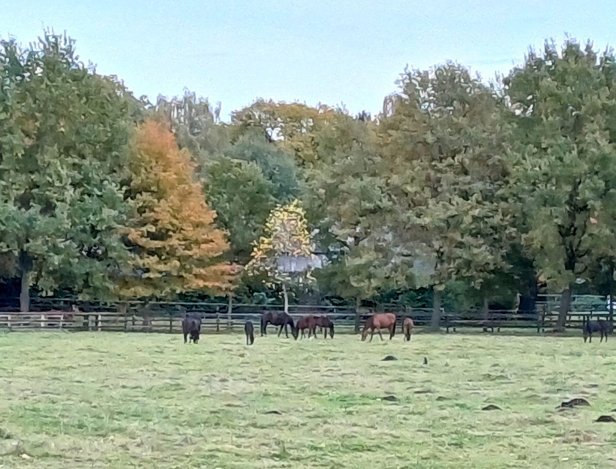 Парк "дикие тропы" в Гамбурге