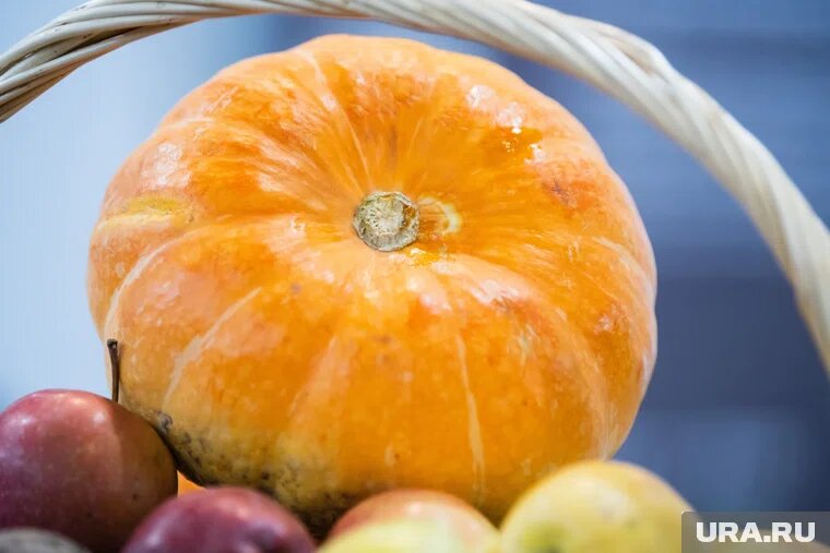 Употребление тыквы в сыром виде может вызвать аллергию

Фото: Илья Московец © URA.RU