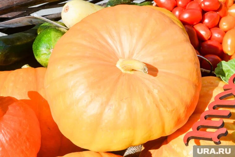 Сырую тыкву можно добавлять в салаты, каши или смузи

Фото: Вадим Ахметов © URA.RU