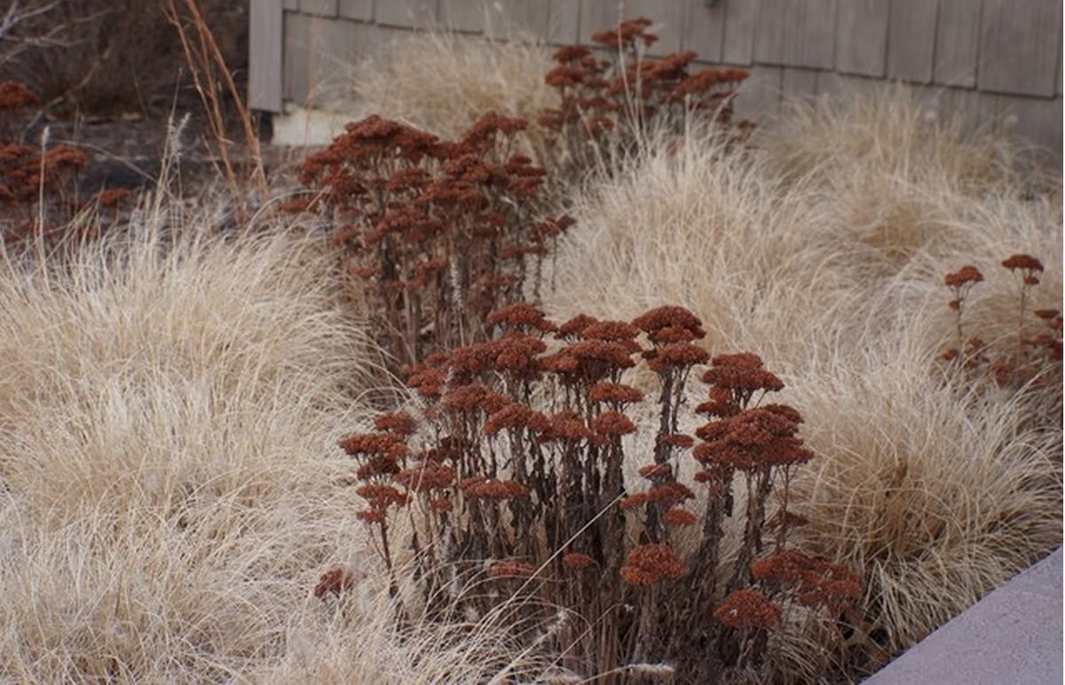 Фото из Pinterest