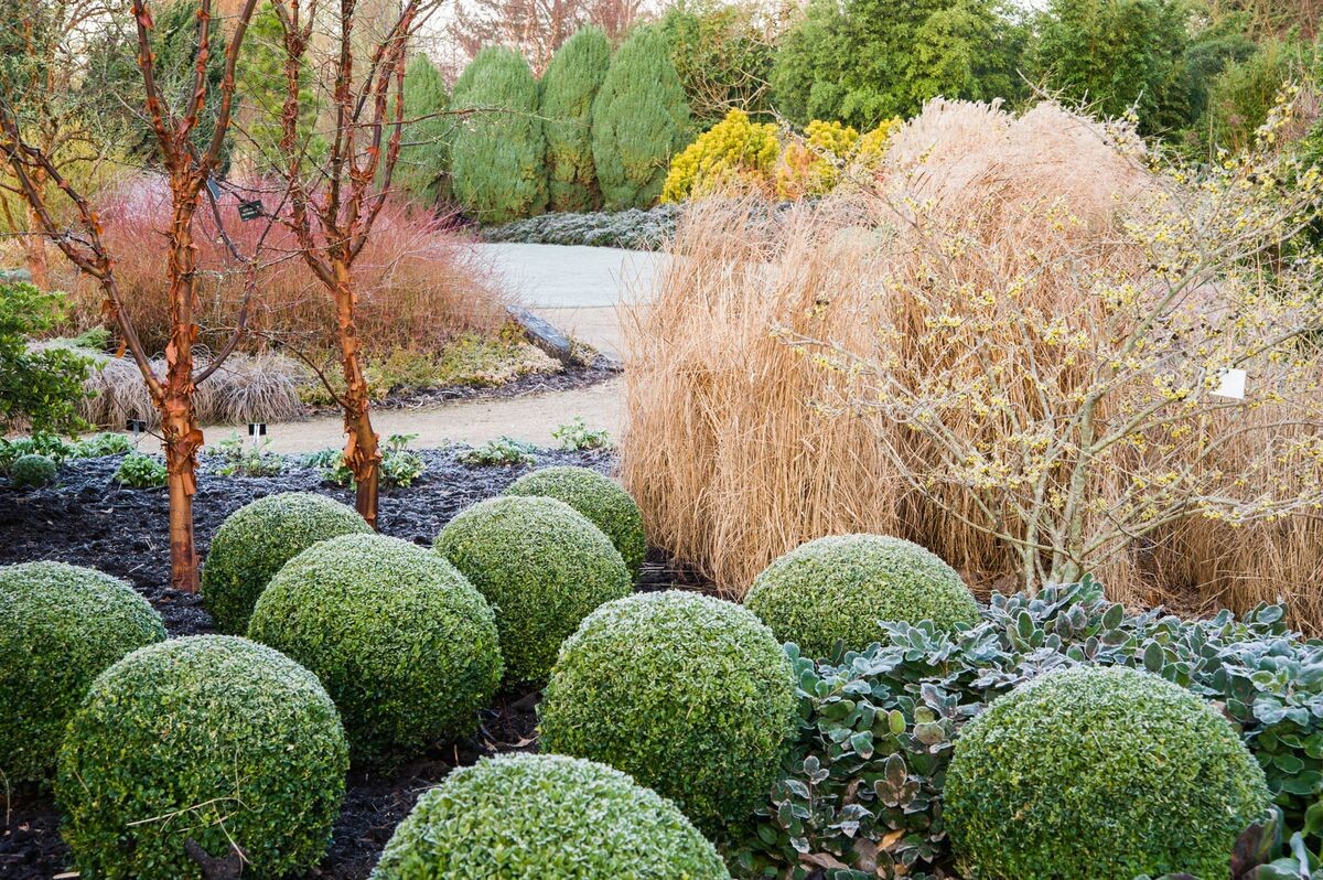 Фото из Pinterest